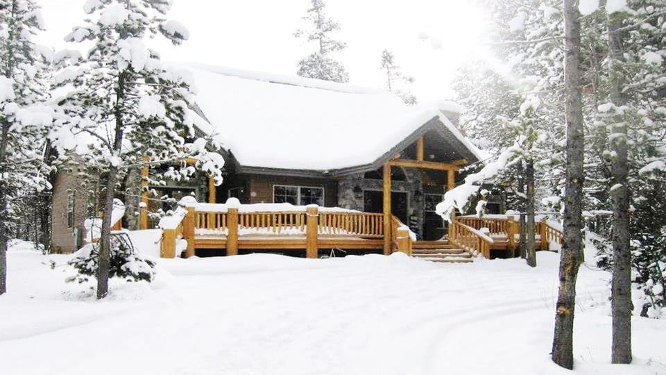 Whispering Pines in Winter