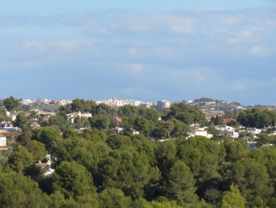 View from terrace