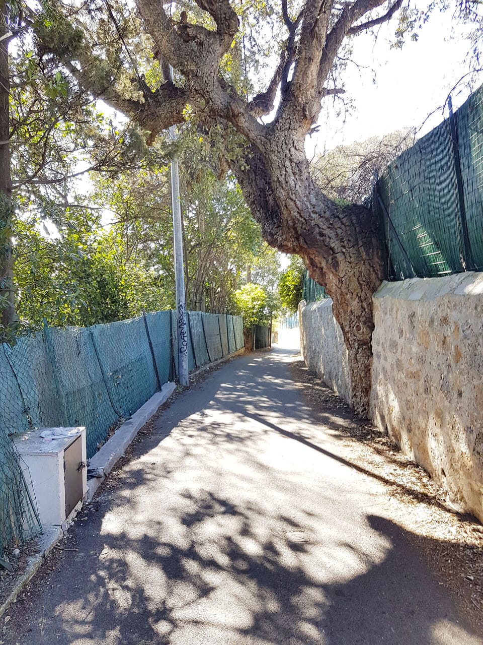 Property grounds