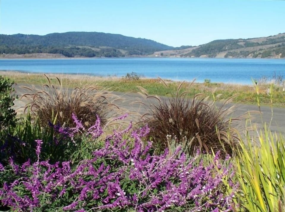 Estuary View