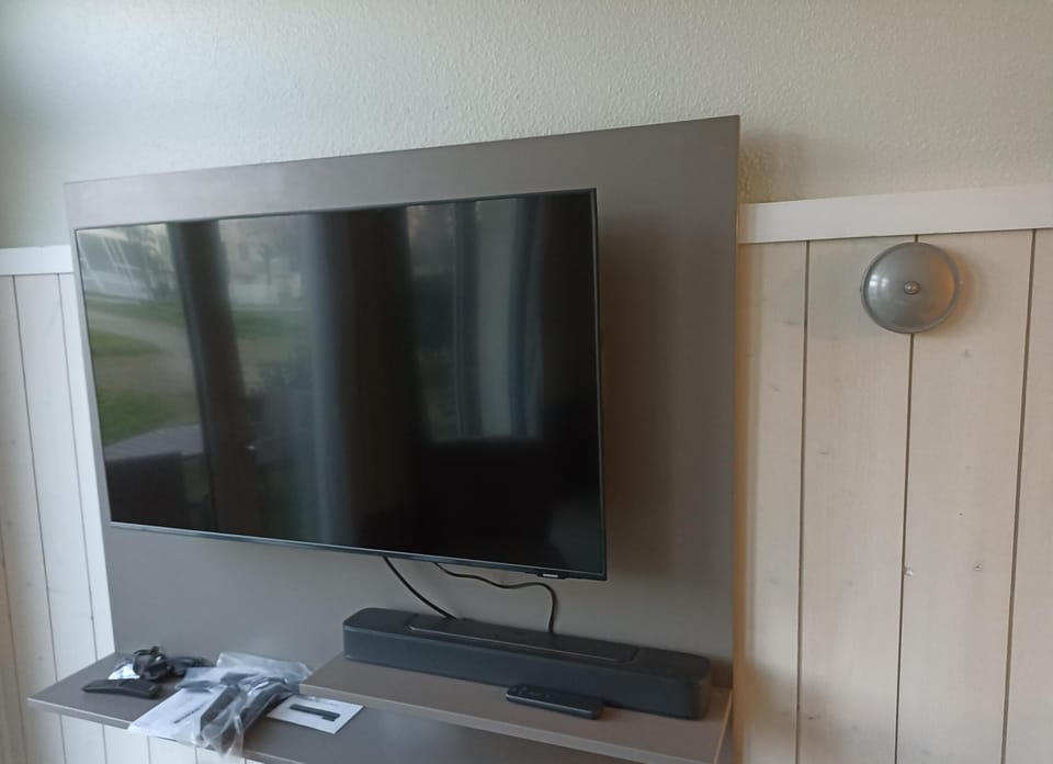 Television