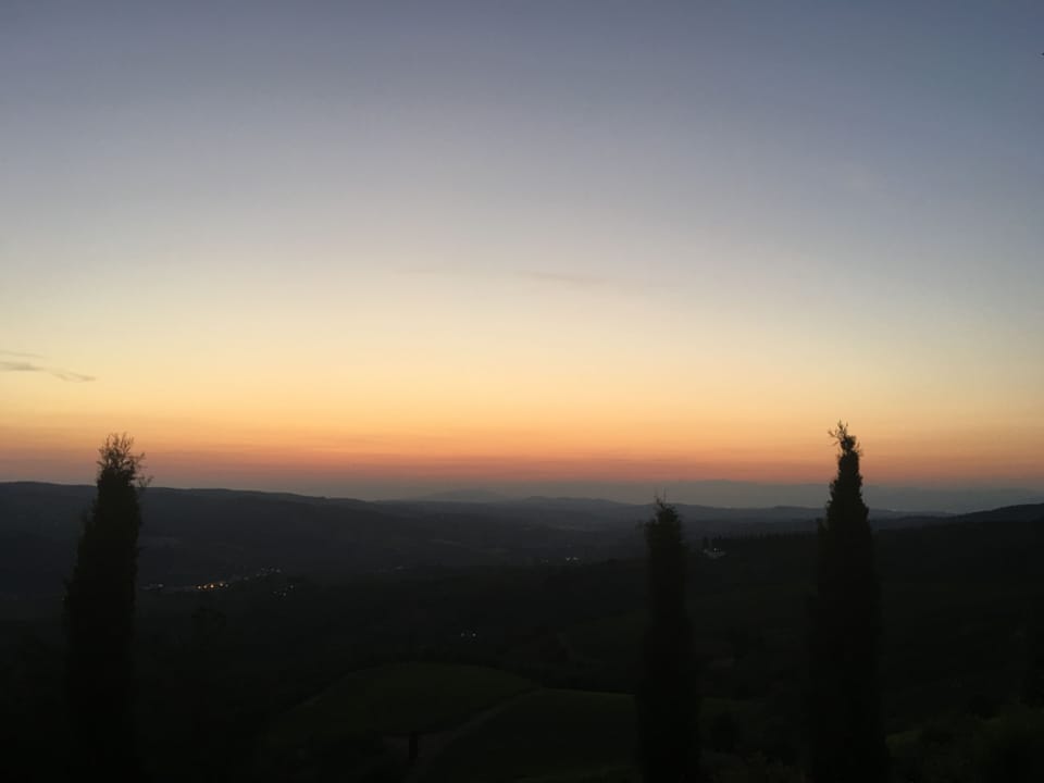PICTURESQUE VIEWS OLIVE VINEYARDS EAT DRINK PURE RECREATION Apartment in Tuscany