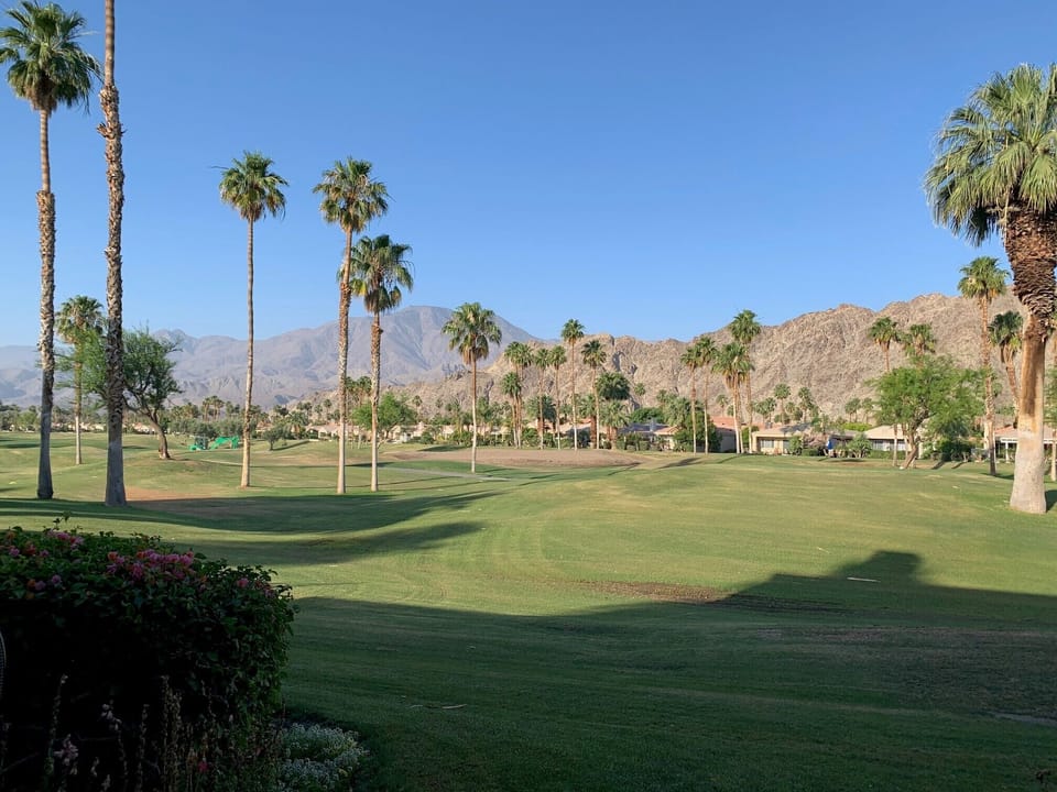 Morning view from back patio.