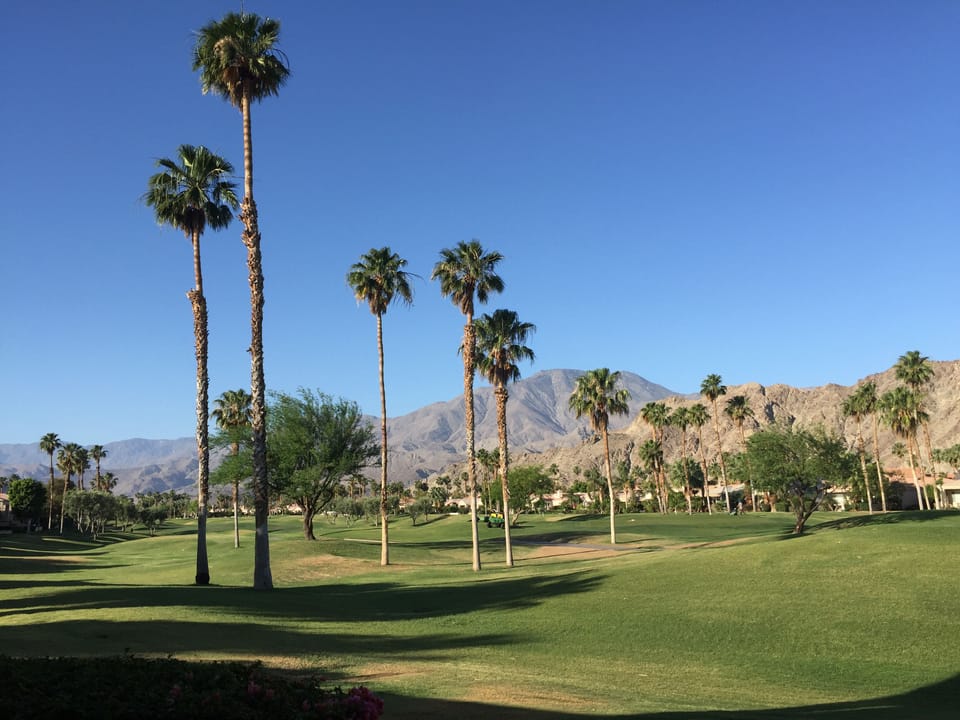 Mid Morning view from back patio.