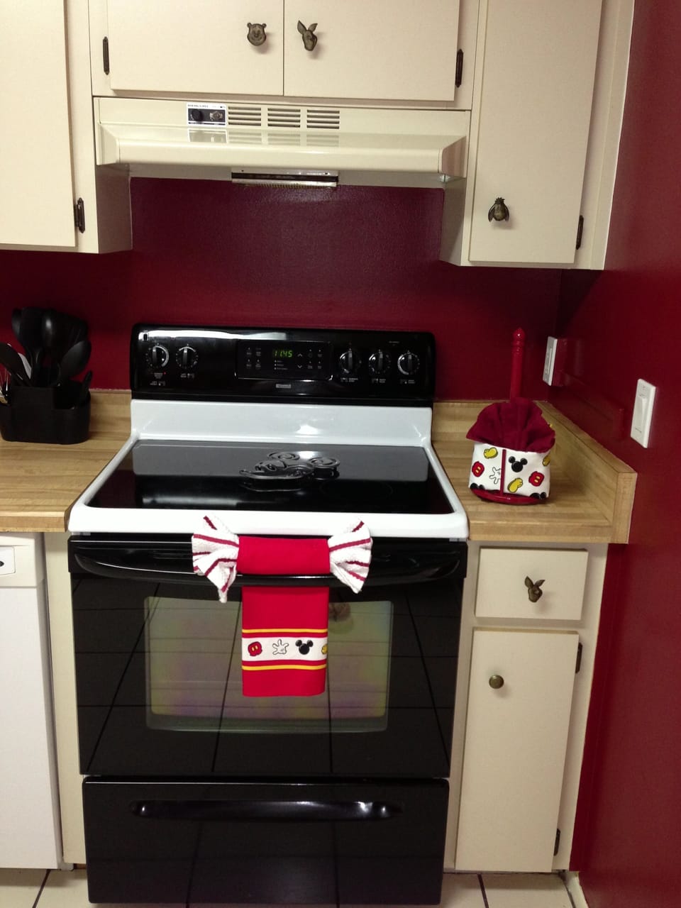 Kitchen with all cooking utensils supplied