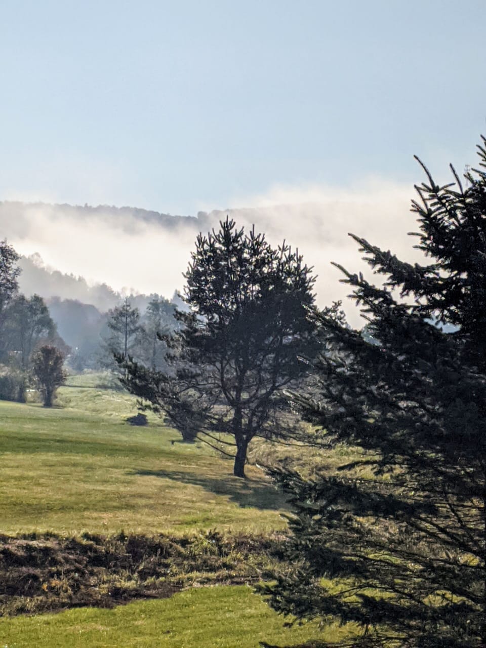 Morning fog while having your coffee
