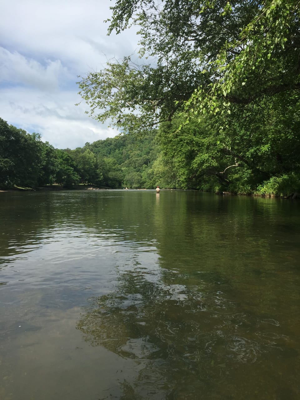 Local trout fishing 