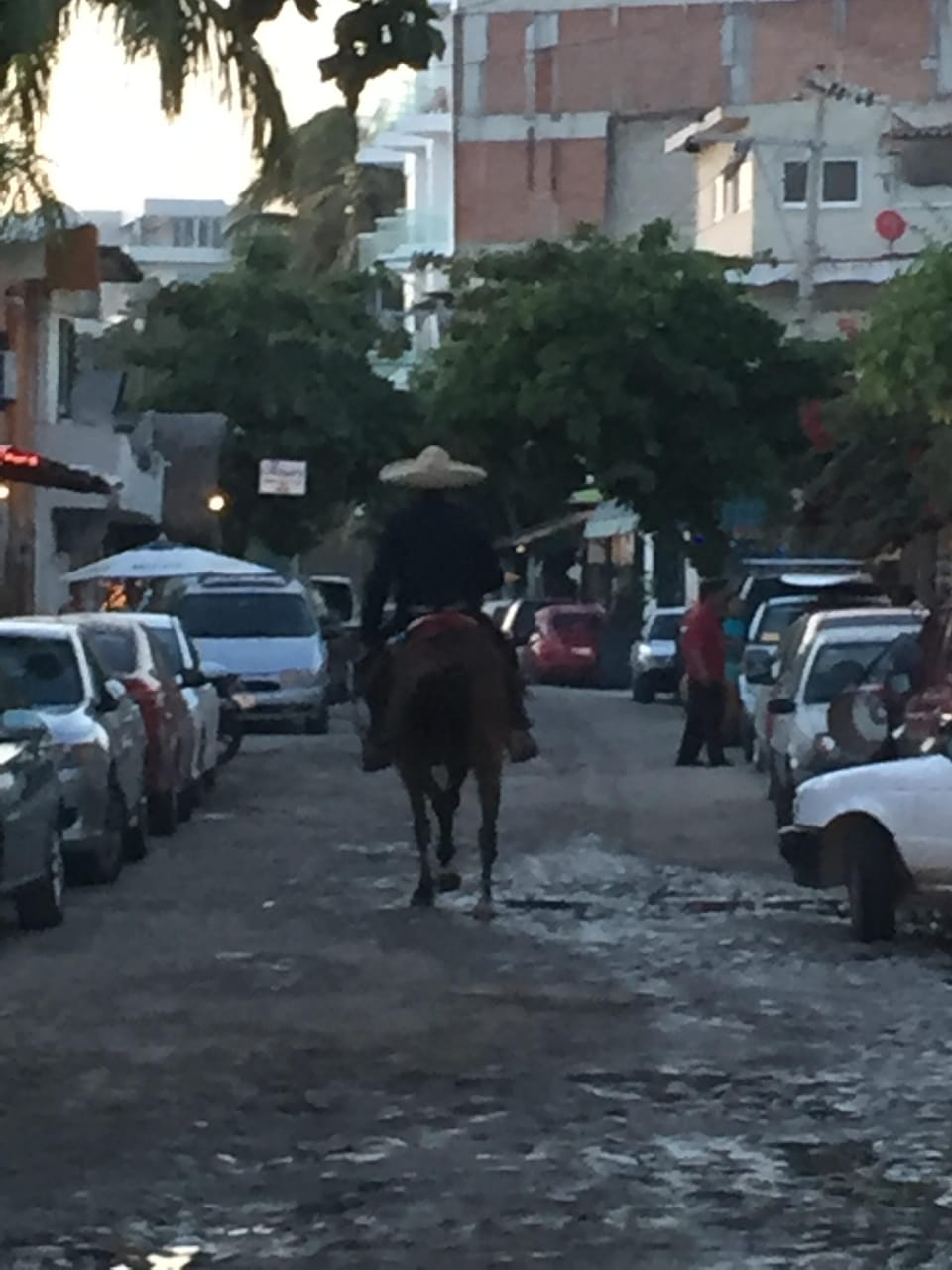 Local Mariachi downtown 