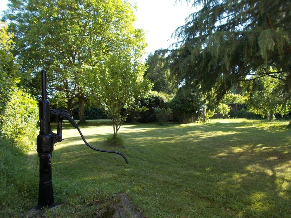 The back garden