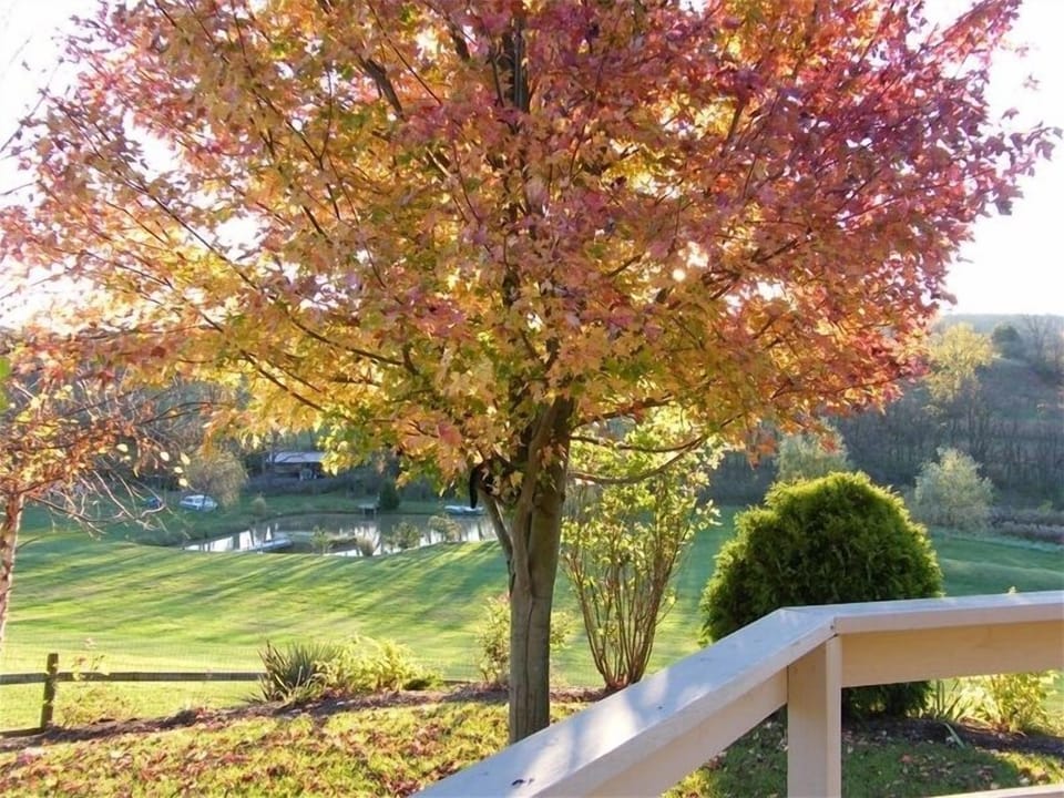 The view from the deck, just outside of the master bedroom in the early fall.