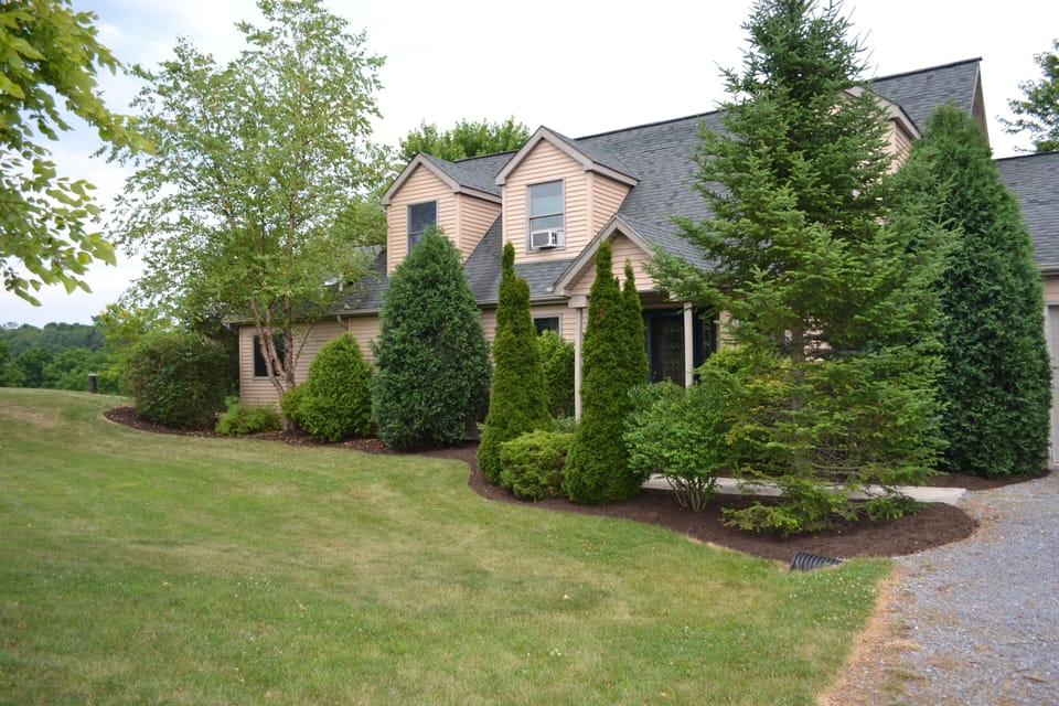 The front of the house.  The trees are now gone and new landscaping is in place.