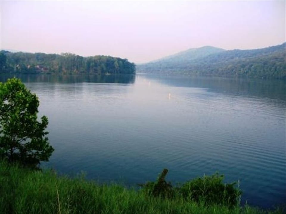 Early morning at the lake.