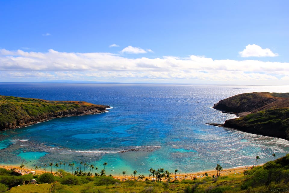 Hanauma Bay 
#1 TripAdvisor destination
within walking distance. 
