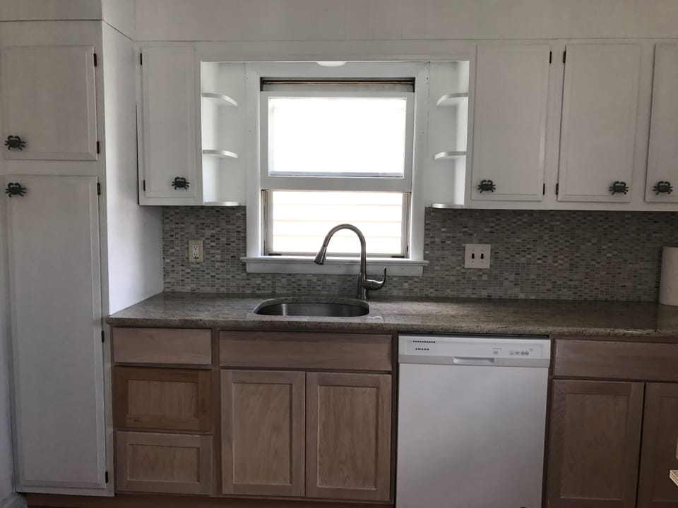 New cabinets and sink