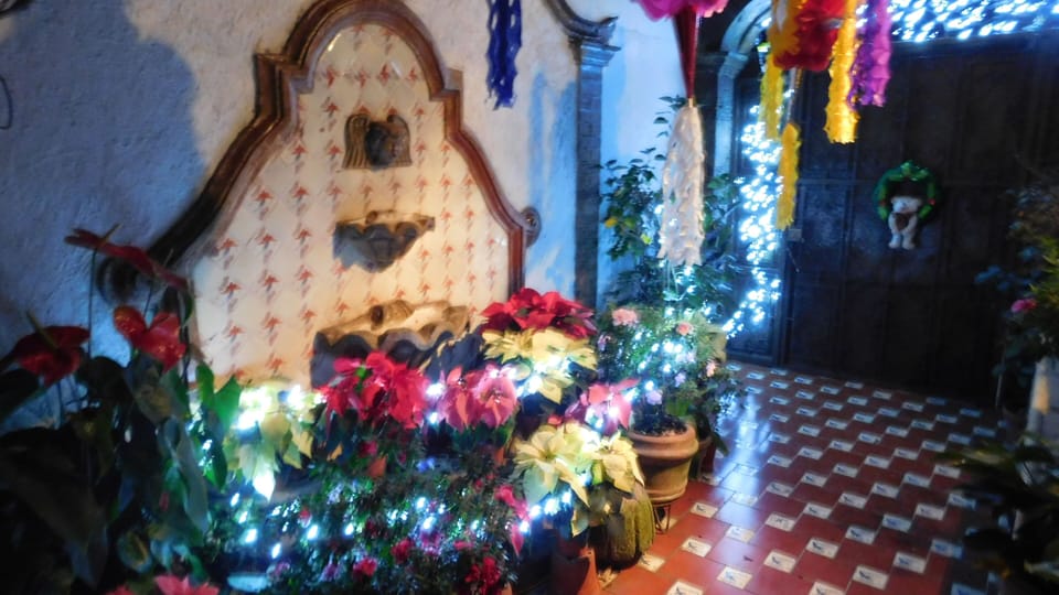 The patio entrance from the street, ten steps from the apartment.