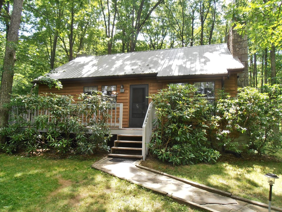 Red Run Cabin - Summer with new roof