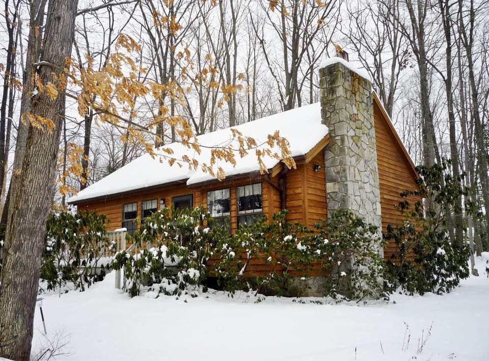 Red Run Cabin - Winter