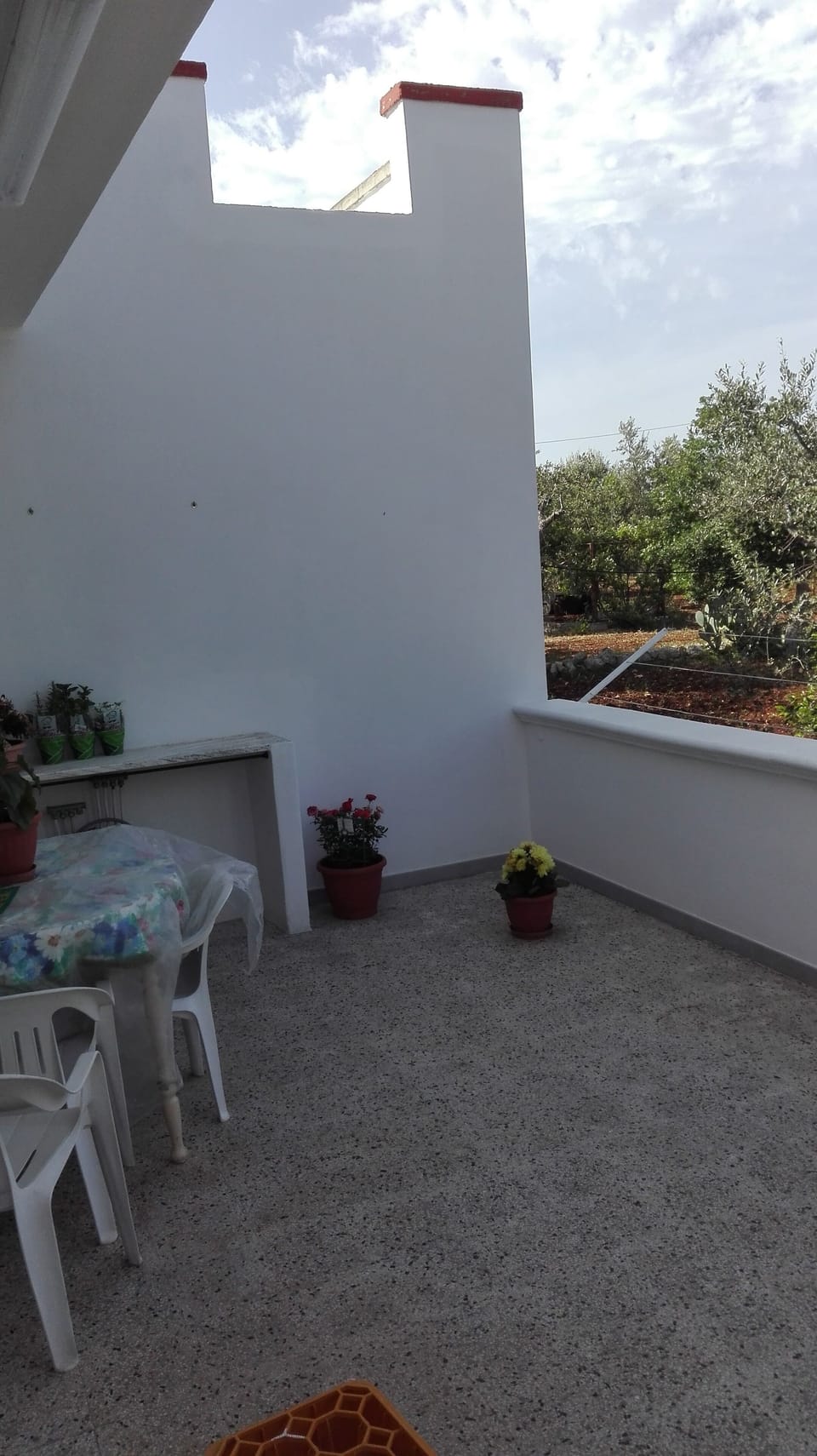 Terrace/patio