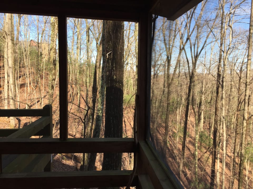 view from screened -in porch