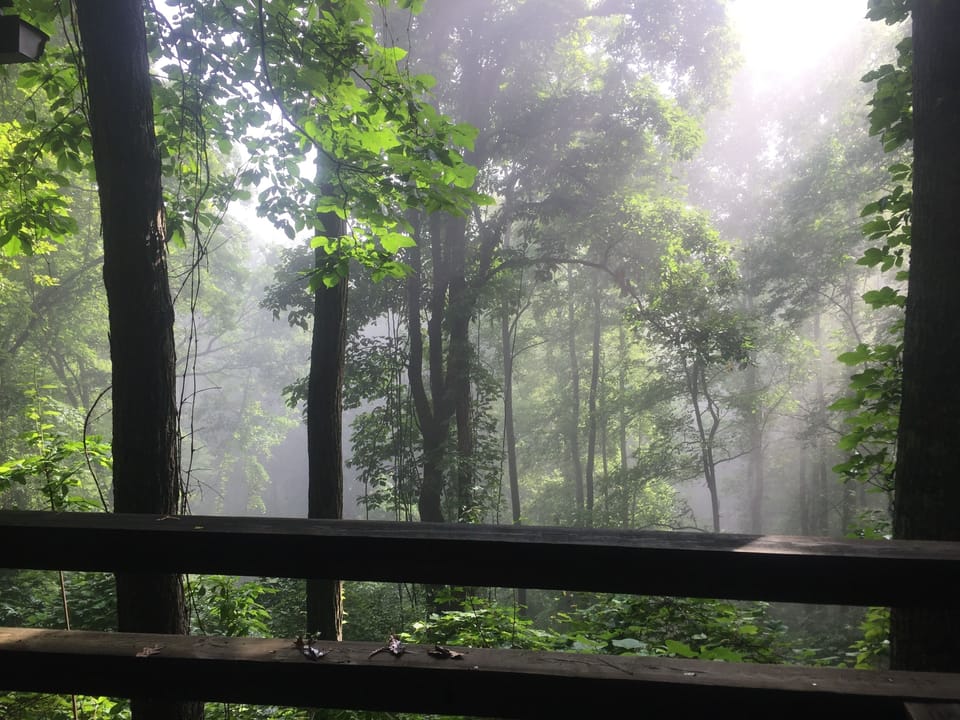 morning mist-view from the deck