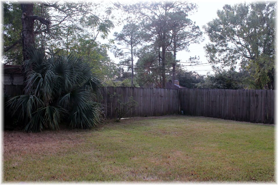 Back Yard
