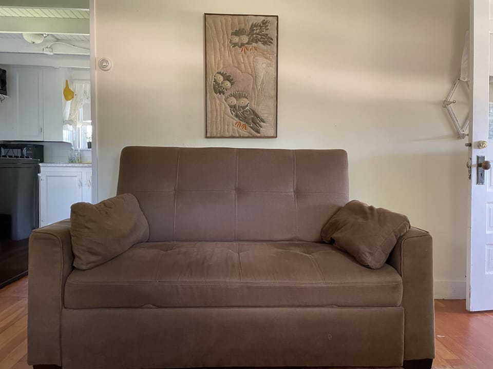 Living room fold out.