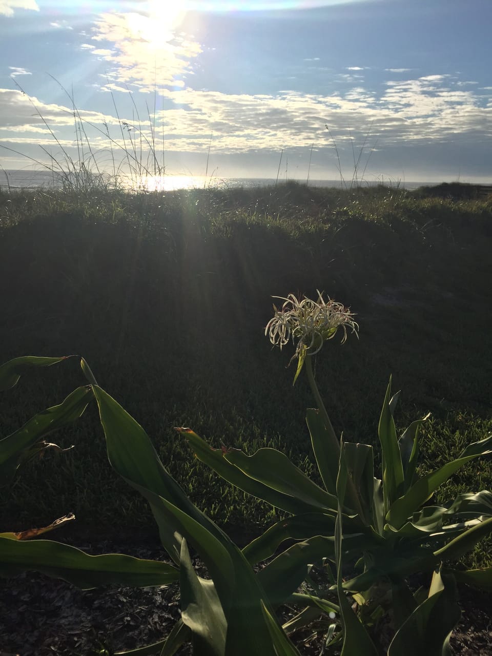 Beautiful grounds and landscaping 