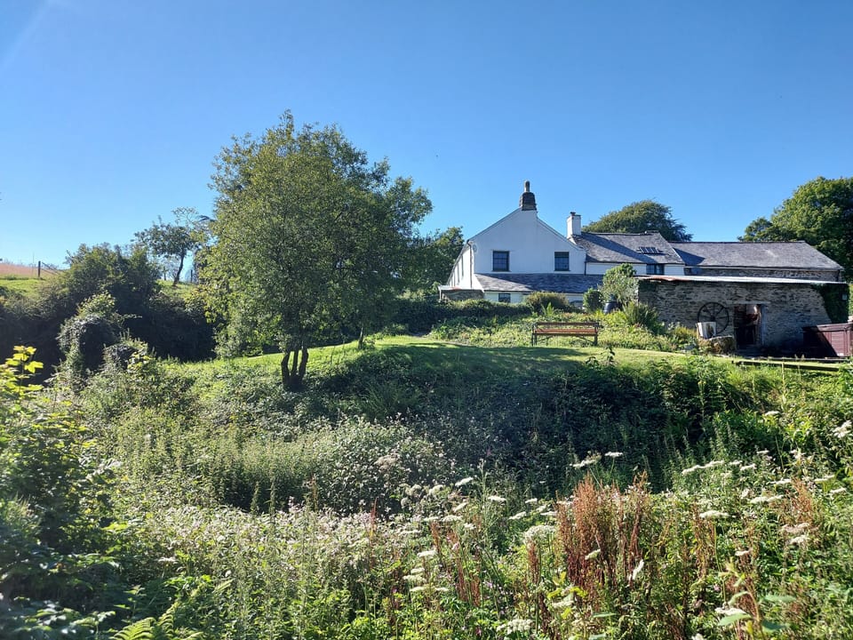 Northcote from the pond