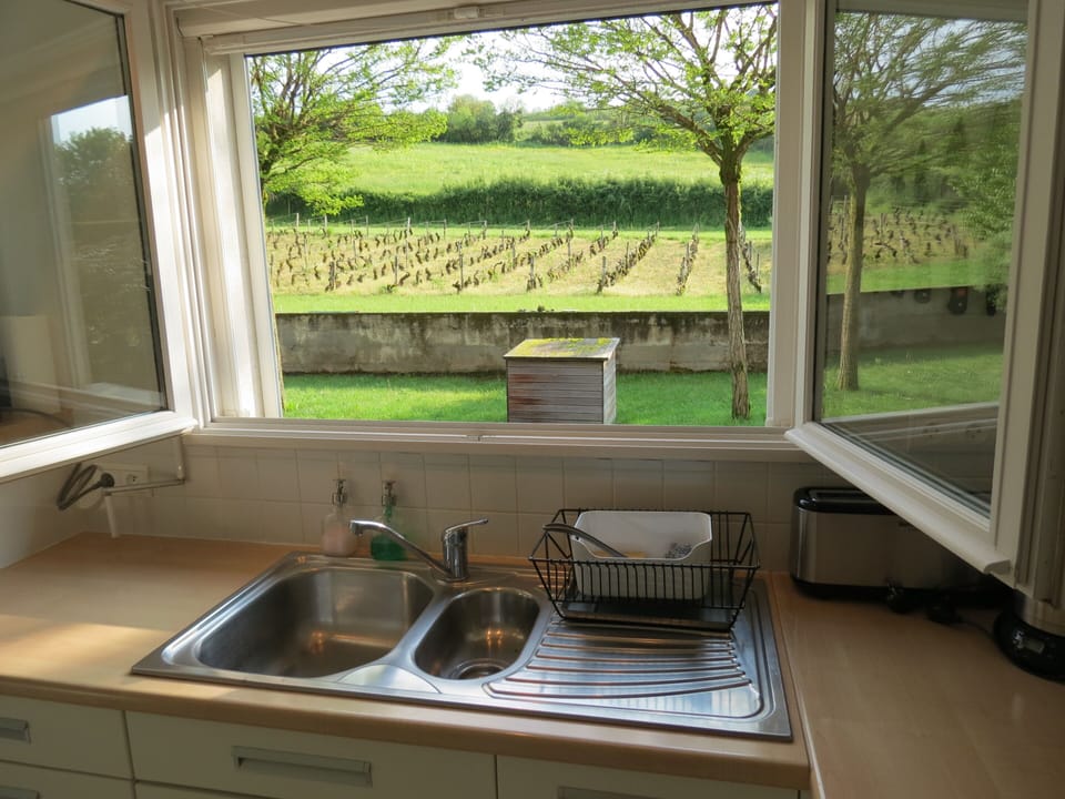 View from the kitchen