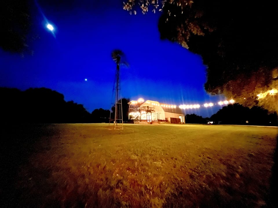Back yard 