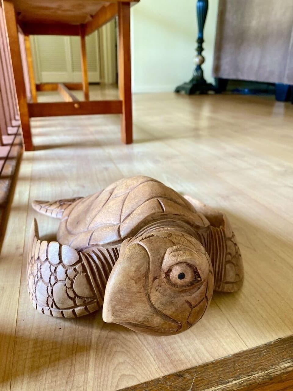 Toby the turtle here to welcome you.