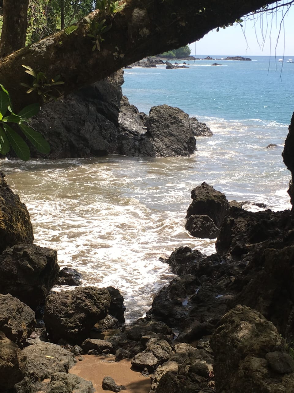 Gorgeous scenery on hikes