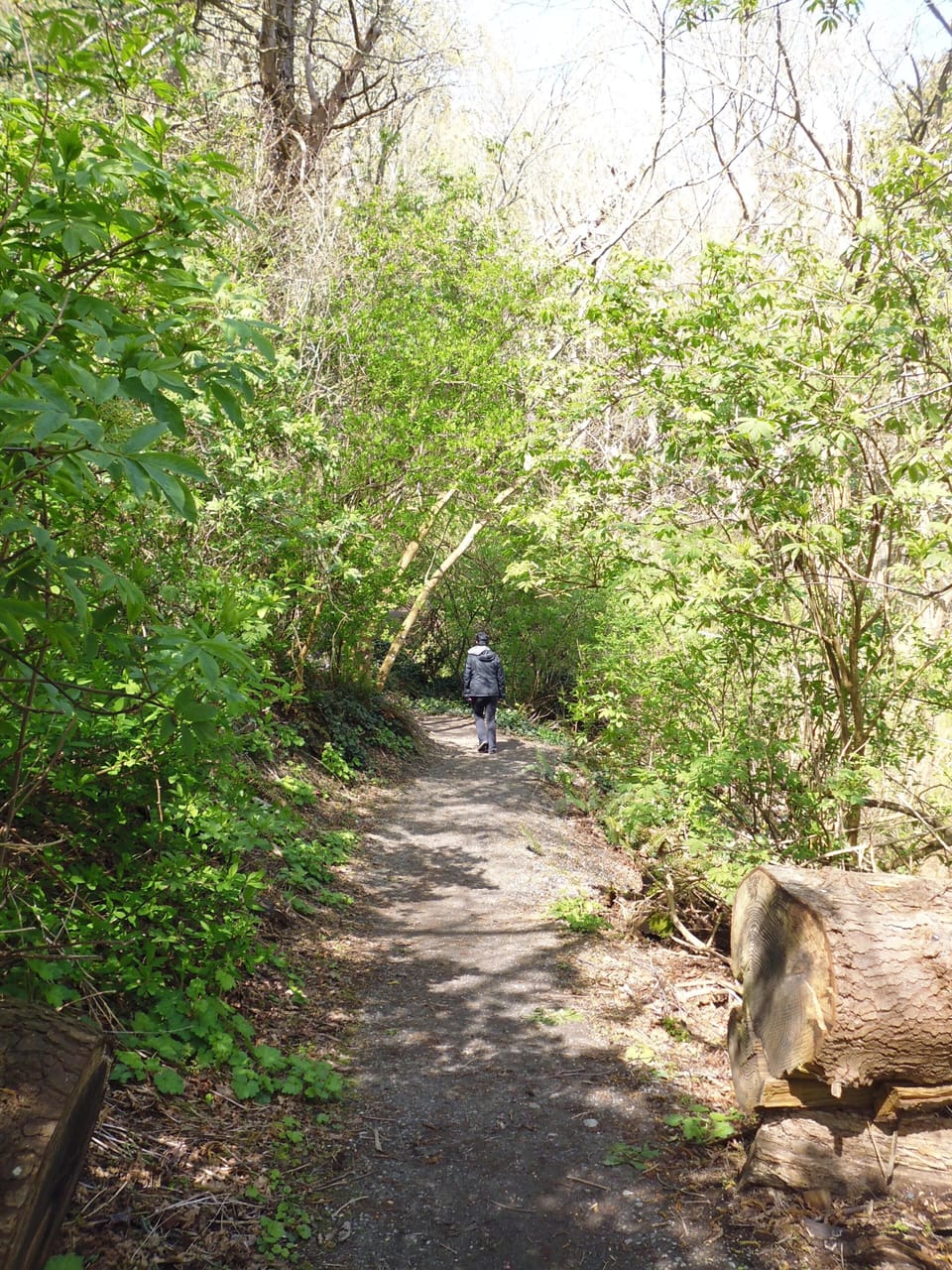 There are many trails meticulously maintained by the parks staff.