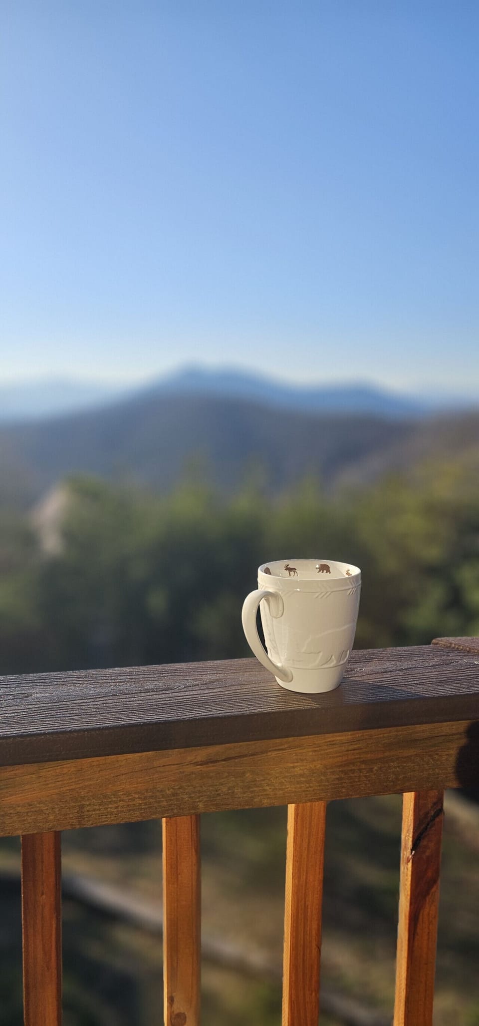 Coffee with a view