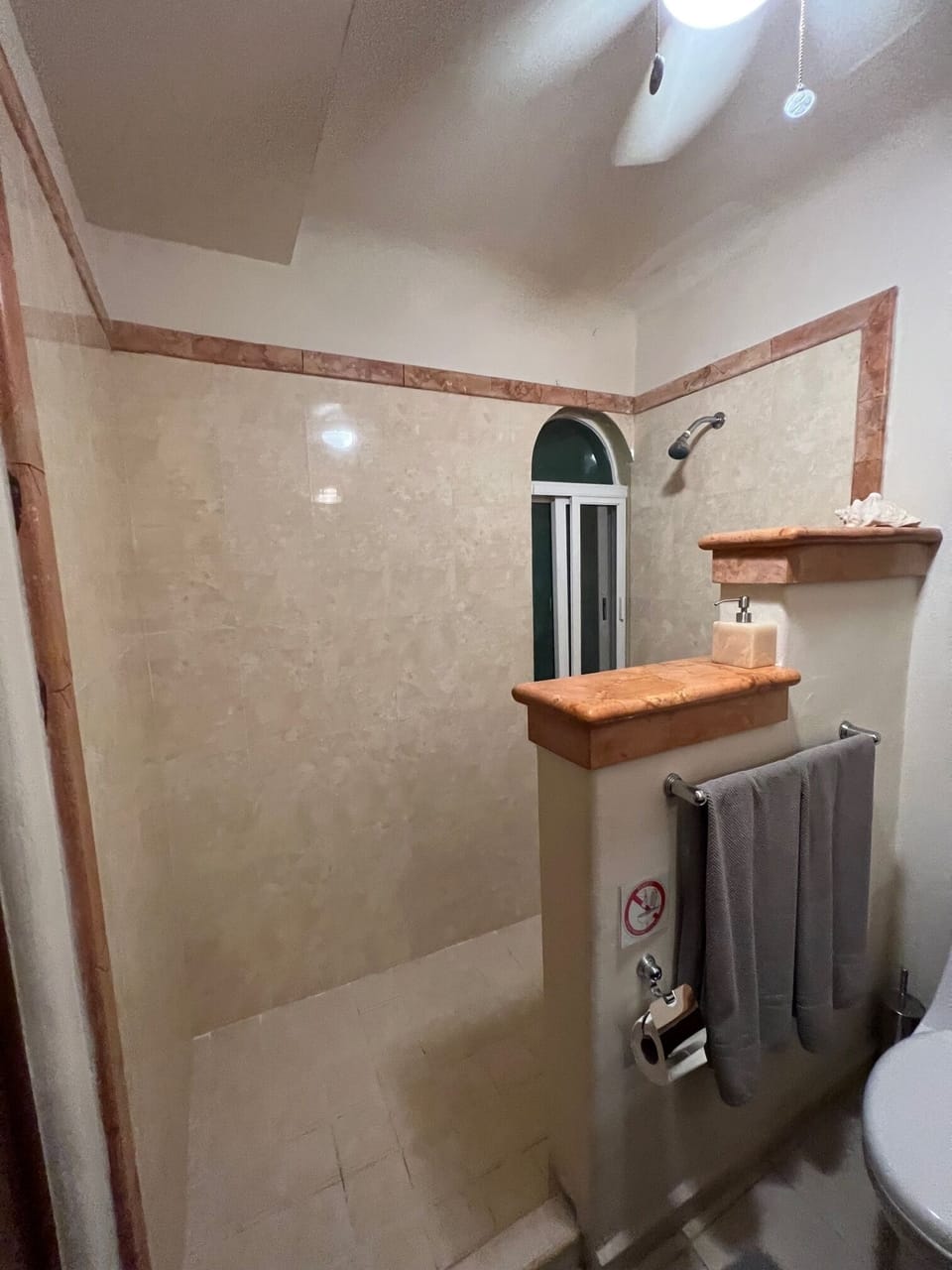 Shower in master bedroom