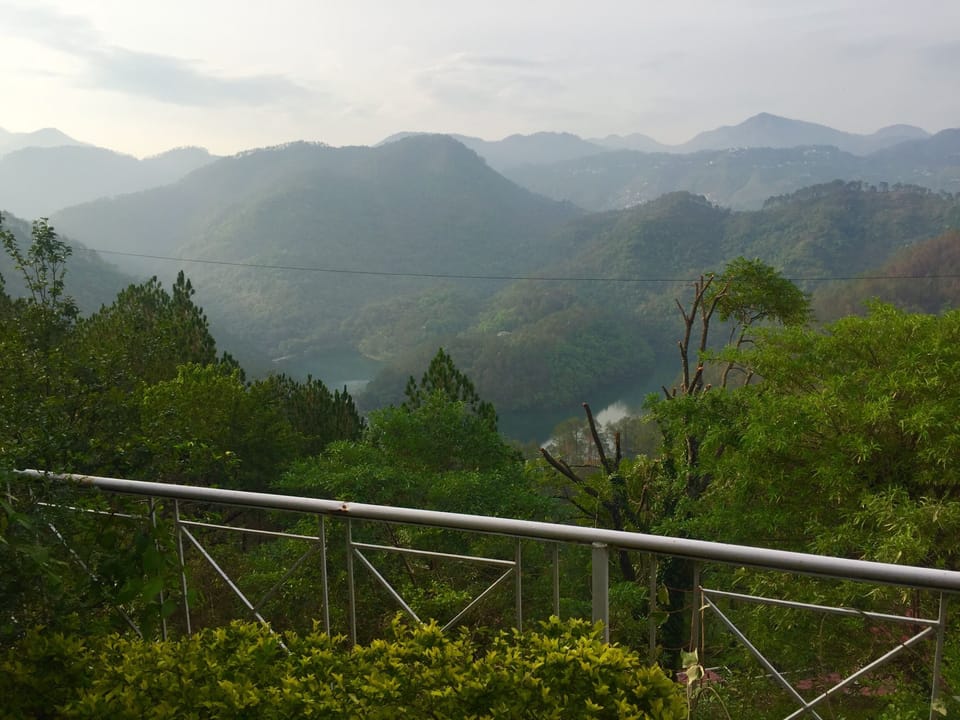 View from the house porch