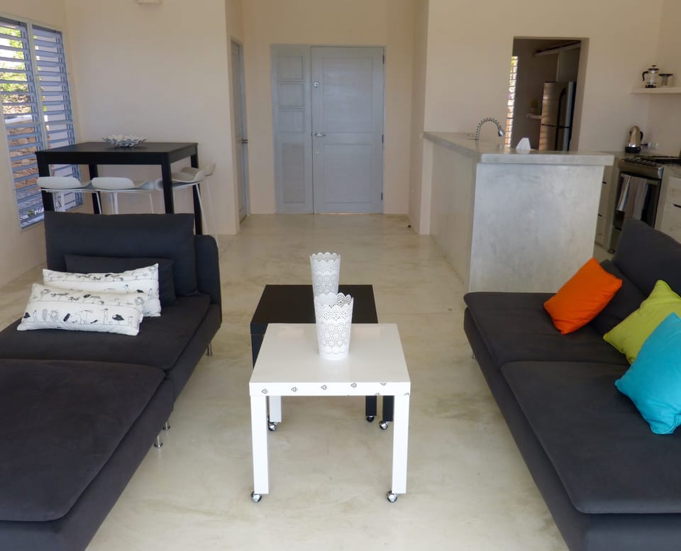 General view of the living room, with the open kitchen and back kitchen