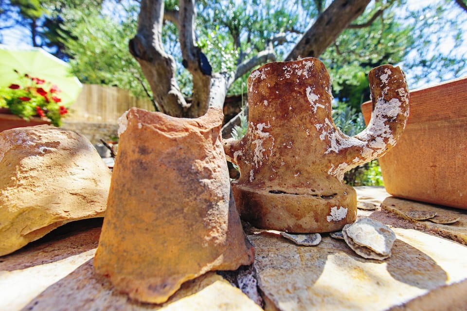 Amphora fragments from the bottom of the sea