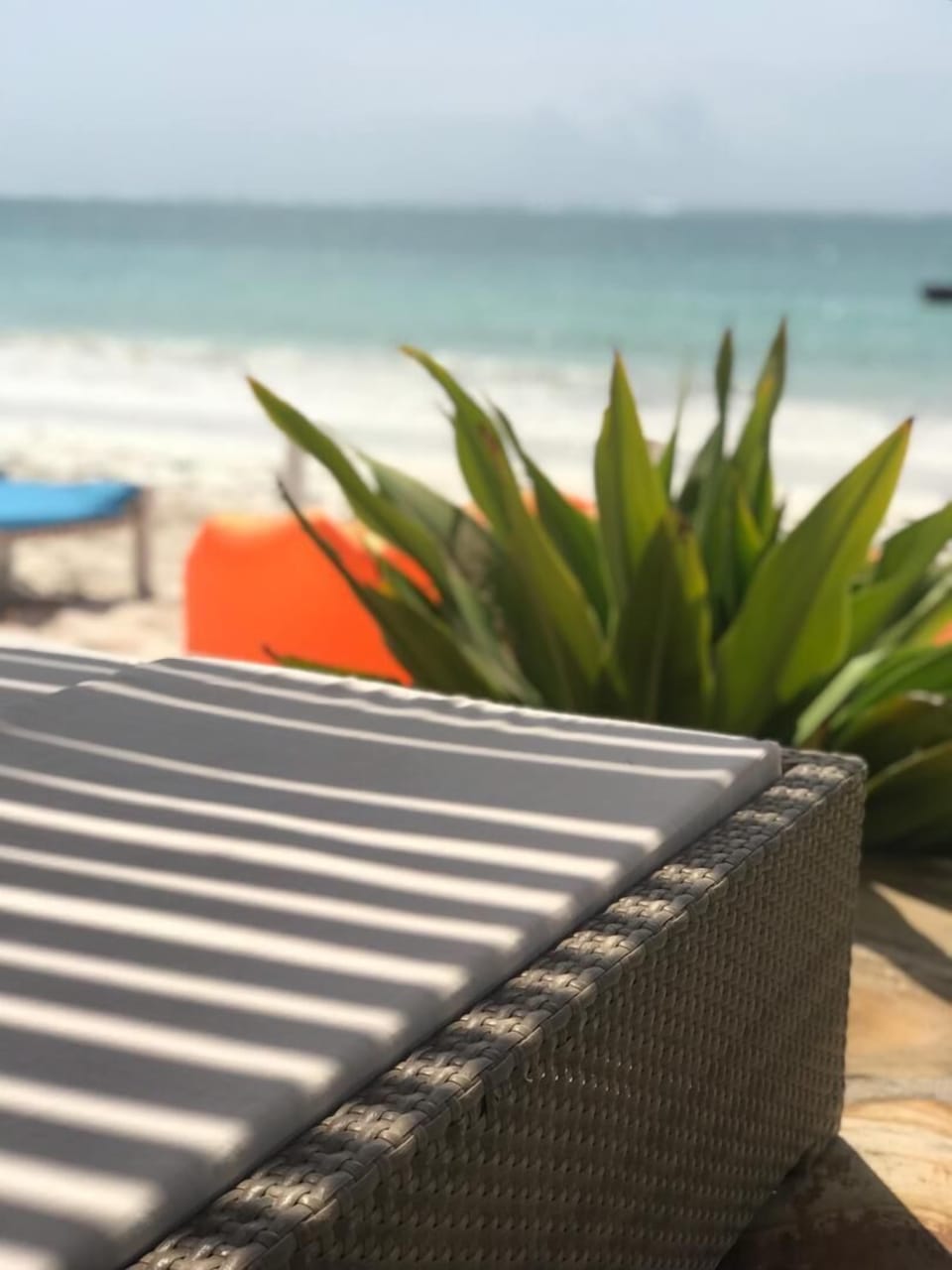 Shaded sun loungers