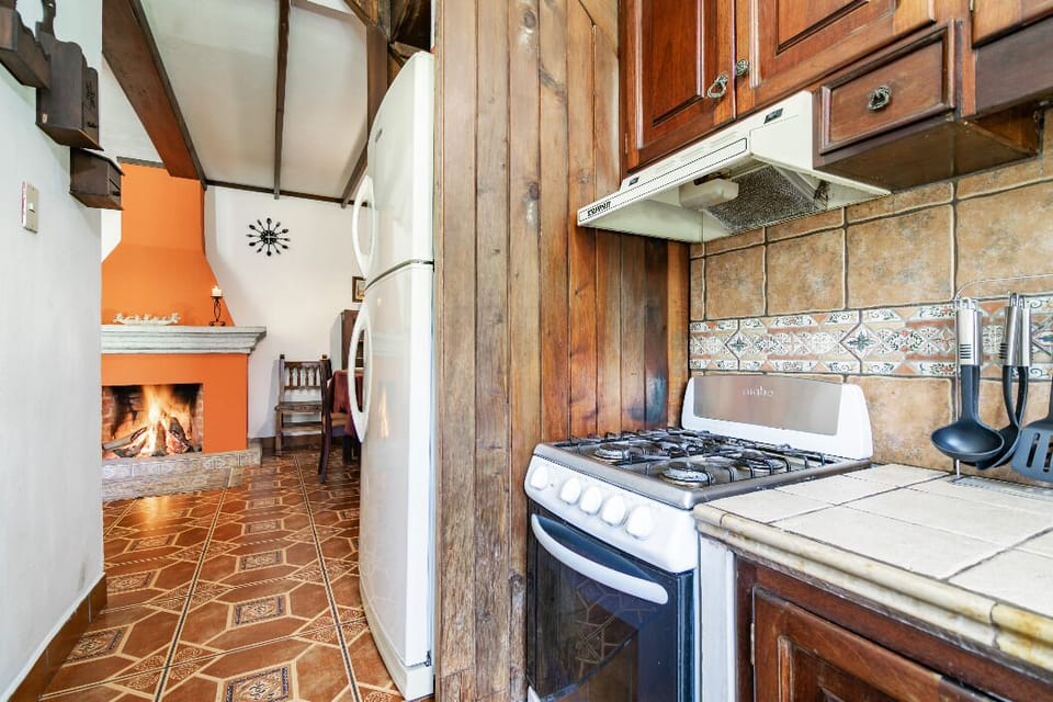 Kitchen stove, fridge and fireplace