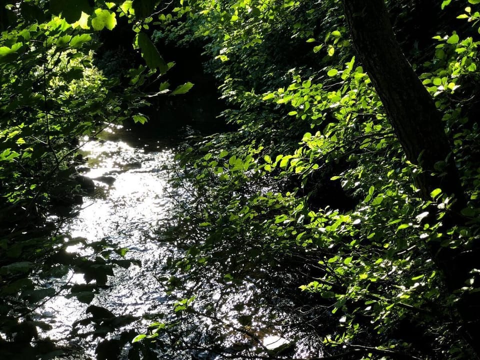 River views