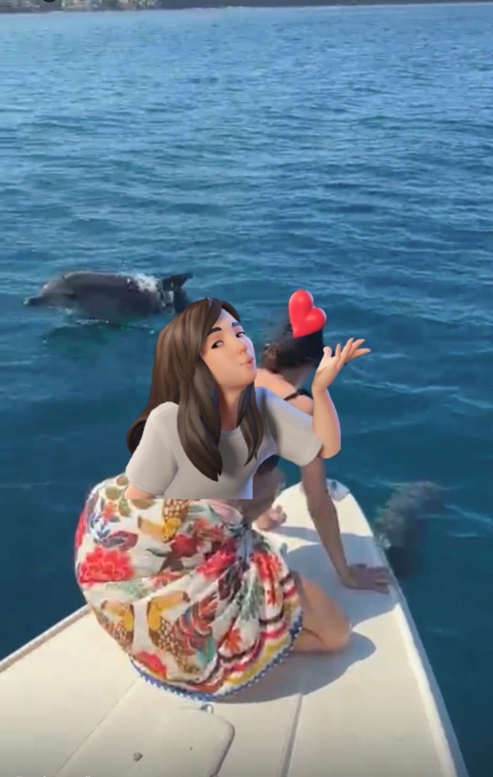 Boat Mooring & Dolphins All Around