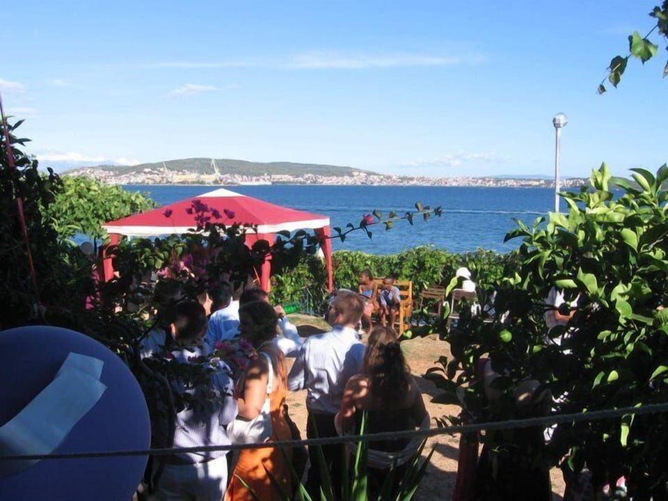 garden with parking place