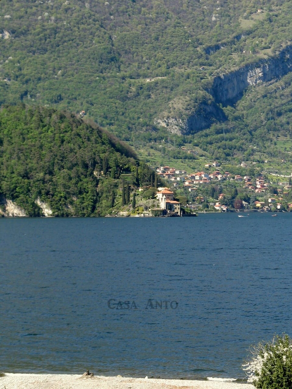 view from the garden