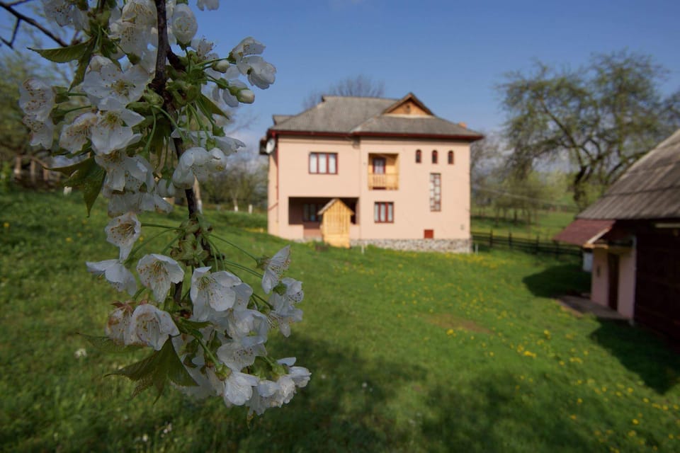 Casa Carolina and its covered water well in spring
