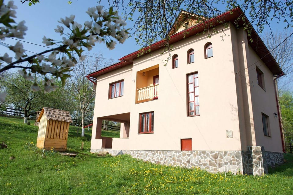 Welcome to Casa Carolina Cupseni, Maramures - 2h from Cluj Airport