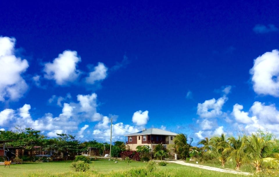 Farmhouse on cliff overlooking east coast of Barbados