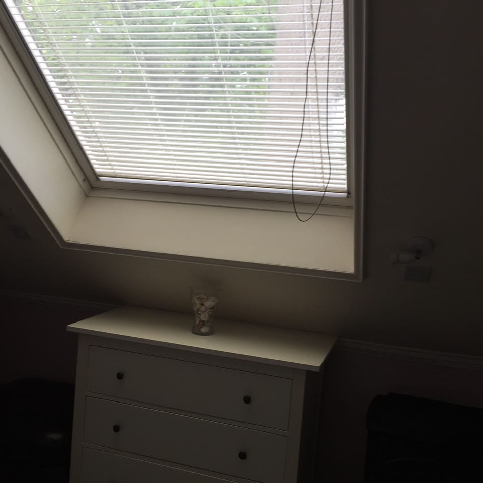 Velux in bedroom looking into trees