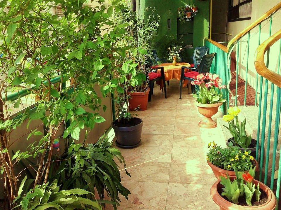 Green terrace with chairs and table in front of the apartment.