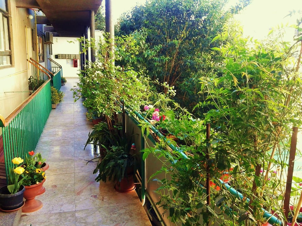 Access to the apartment...peace of heaven when you relax at the terrace...